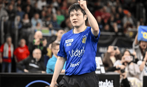 樊振东空砍2分，德甲主场爆冷！对手52岁主帅亲自上场，赛后秒变迷弟求合影！